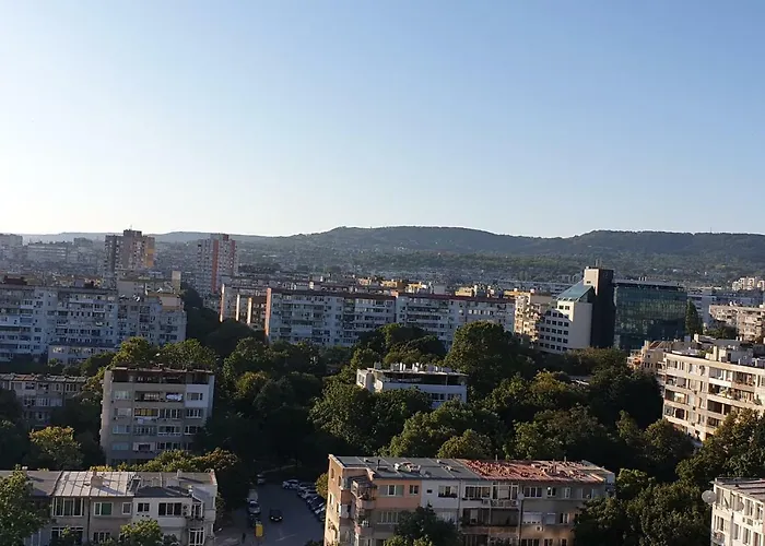 Студио Тони